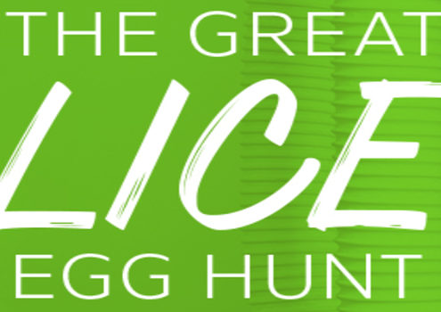 The Great Lice Egg Hunt